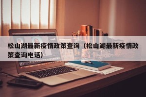 松山湖最新疫情政策查询（松山湖最新疫情政策查询电话）