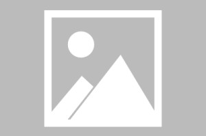 【新冰城传奇攻略,新冰城传奇攻略大全】