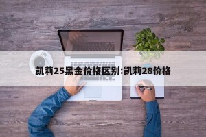 凯莉25黑金价格区别:凯莉28价格